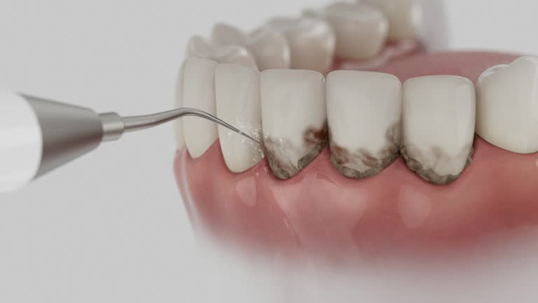 Reliable Dental contractor in Mount Carmel, PA by Dentist Open Now